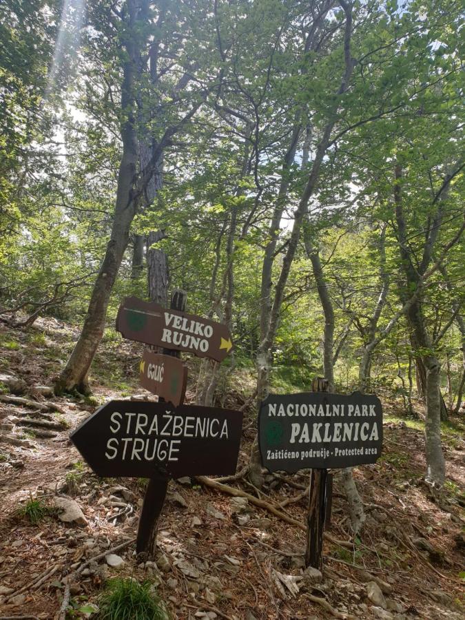 Vito Lägenhet Starigrad Paklenica Exteriör bild