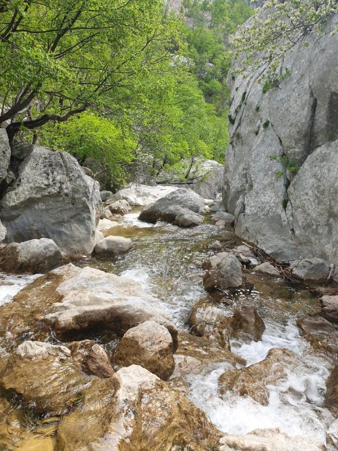 Vito Lägenhet Starigrad Paklenica Exteriör bild