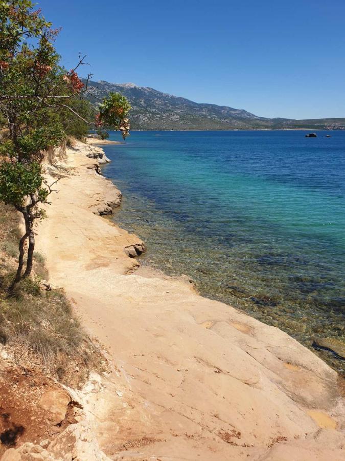 Vito Lägenhet Starigrad Paklenica Exteriör bild